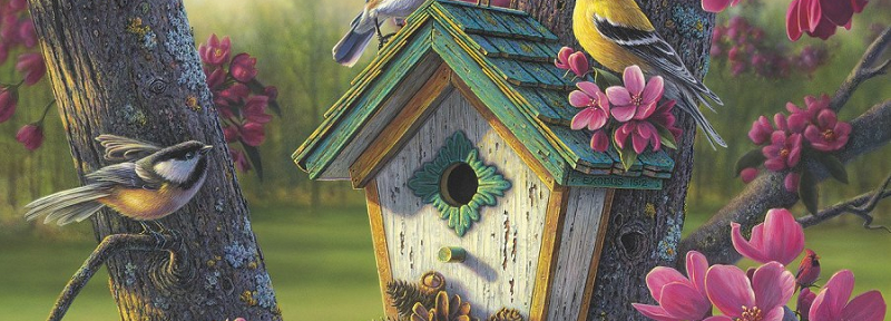 Bird theme