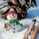 How to Celebrate the First Day of Winter with your Residents