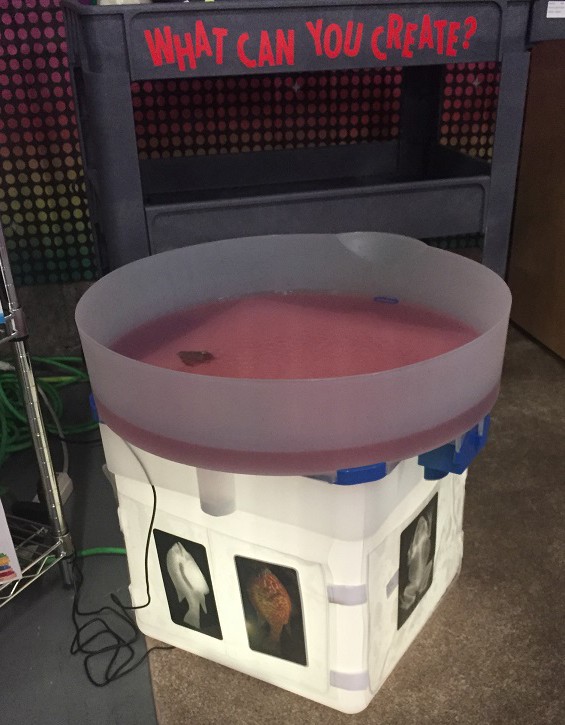 S&S sensory item