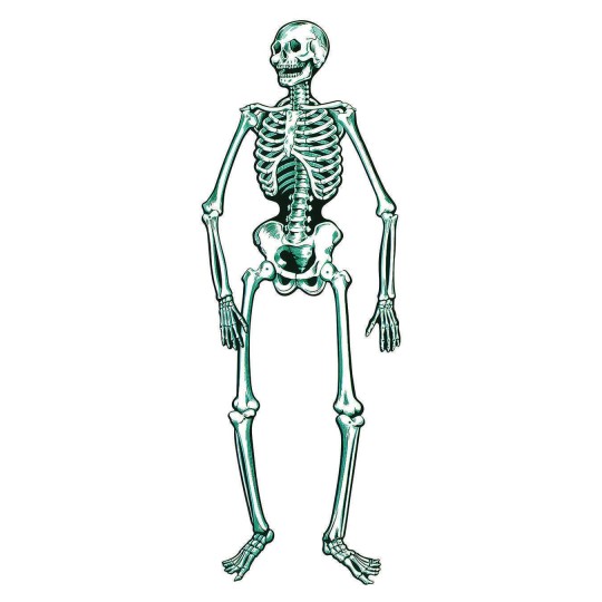NL665