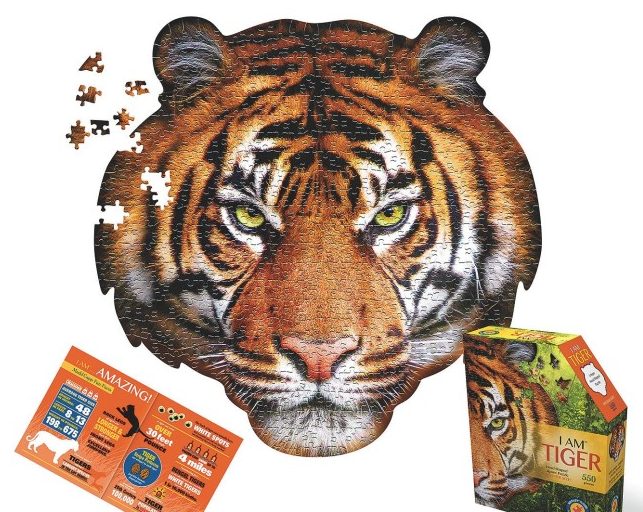 Roar In the Wild VBS 2019 Themes
