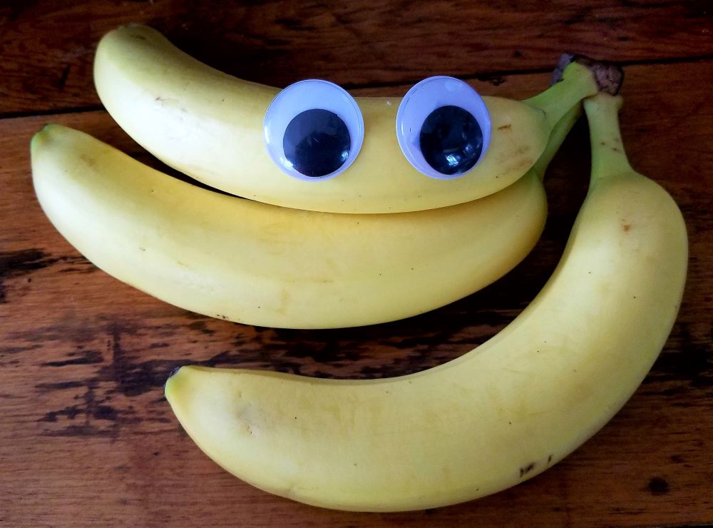 Wiggly-Eyes-bananas-1