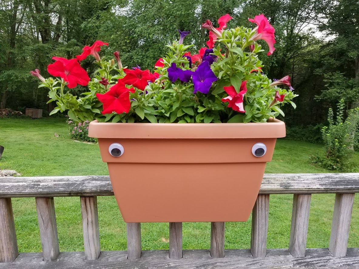 Wiggly eye Flower box 2 S&S Blog