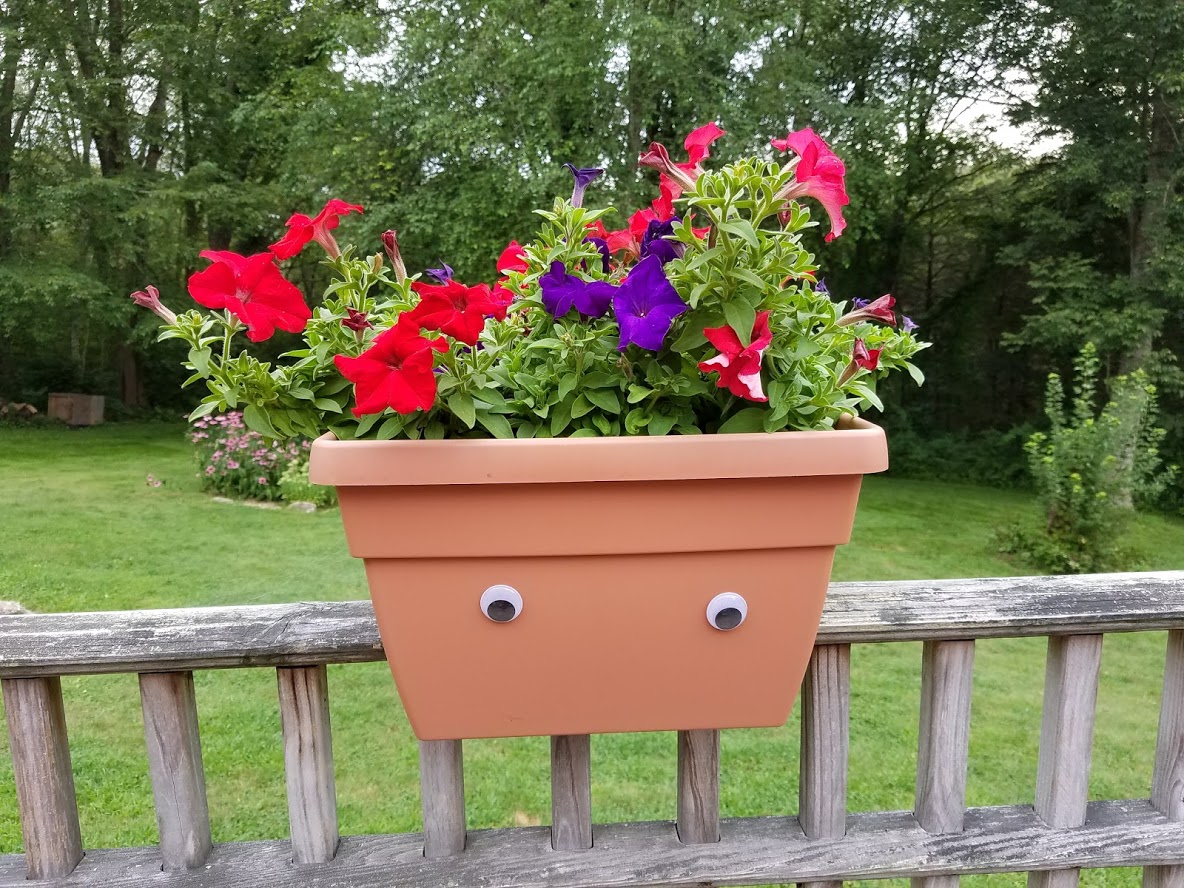 Wiggly eye Flower box 3 S&S Blog