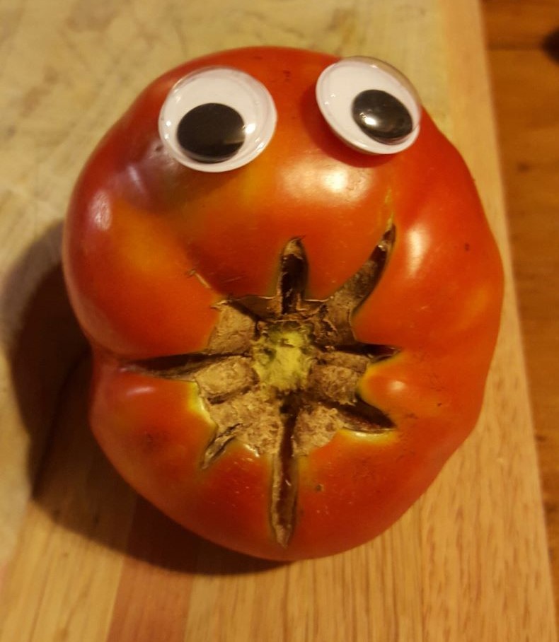 Wiggly eye full tomato S&S Blog
