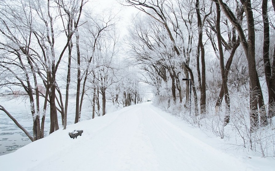 winter senior program