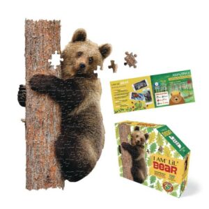 bear puzzle