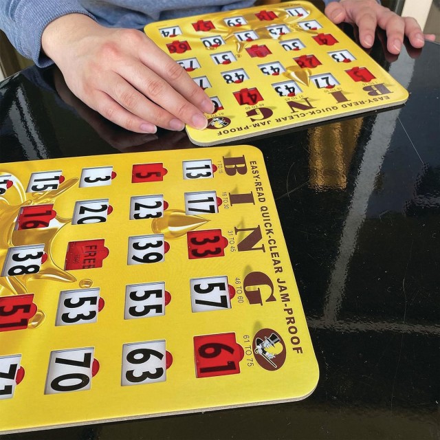 bingo game for seniors