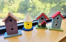 birhouse craft kit