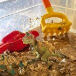 Dinosaur Dig Sensory Bin Activity for Kids
