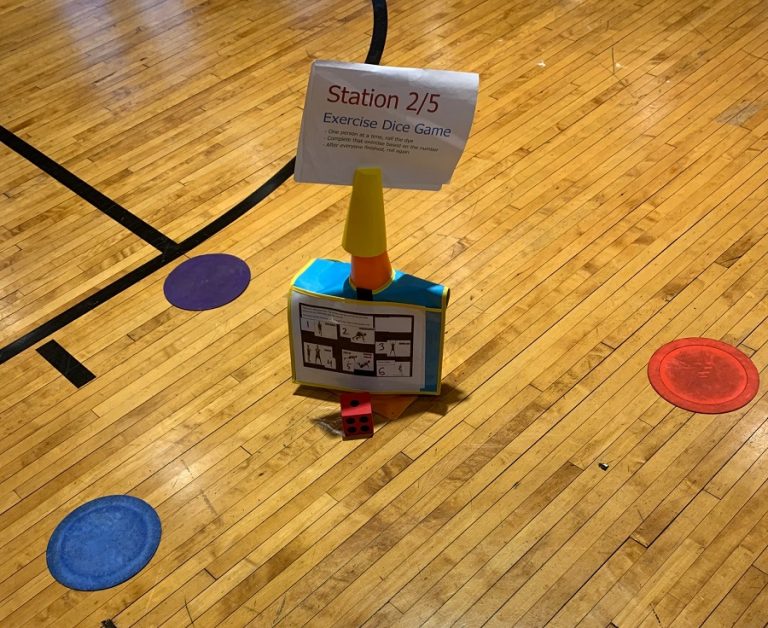 Exercise Dice Game Using Task Cards & Literacy Strategies in PE S&S