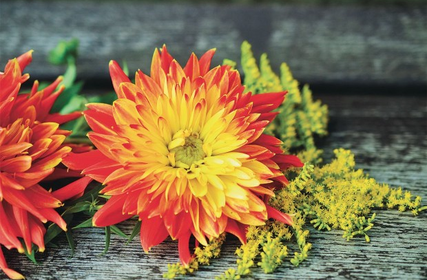 flower puzzle