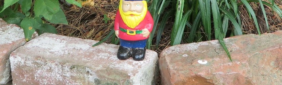 garden crafts seniors
