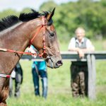 How to Prepare Your Facility for the Kentucky Derby