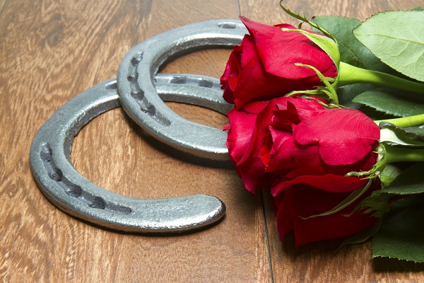 Kentucky Derby Rose Horseshoe Peel N Place Decoration — Horse and