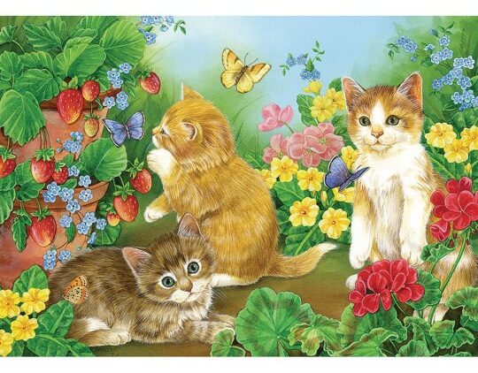 kitten puzzle