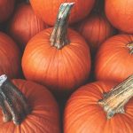 Pumpkin Themed Activities For National Pumpkin Day