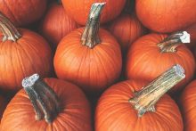 national pumpkin day senior living