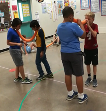 noodle transport PE
