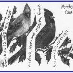 How to Inspire Note-Taking & Poetry in the Classroom