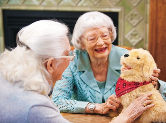 pet therapy program seniors