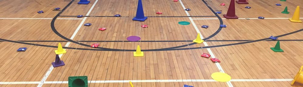 PE activity pokemon go