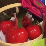Activity Ideas for October
