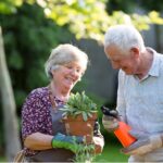 4 Ways to Plan a Gardening Theme for Senior Residents This Summer