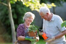 senior residents gardening