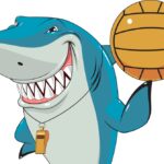 Physical Activity Ideas for Shark Week