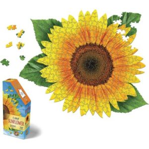 Senior sunflower