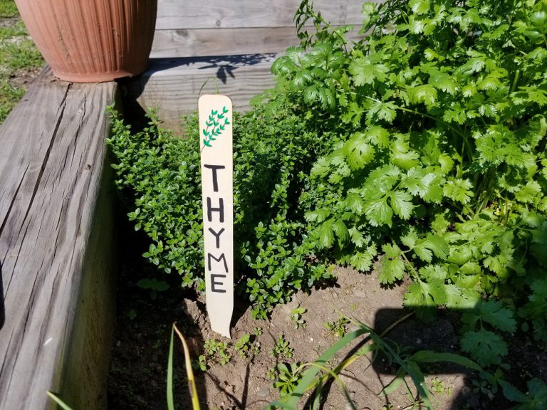 3 Crafty Ways to Label Your Vegetable Garden S&S Blog