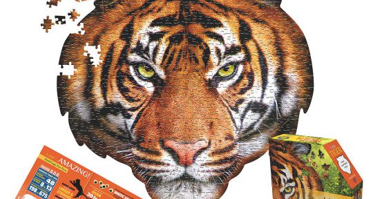 jungle theme