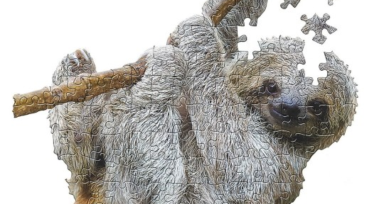 zoo animal sloth puzzle